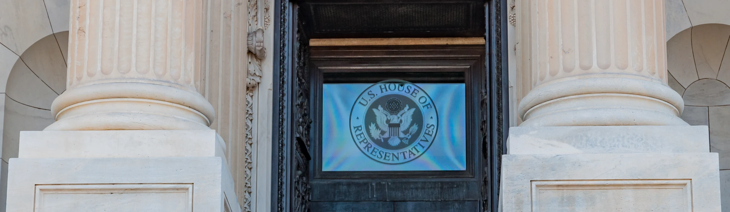 Government Lockdowns